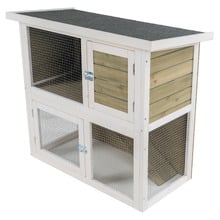 White Cavy Hutch